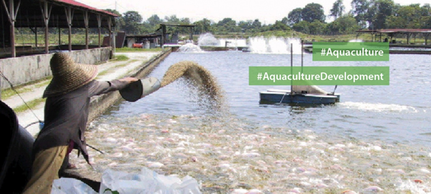 Vers la quatrième Conférence Mondiale sur l'Aquaculture en 2020